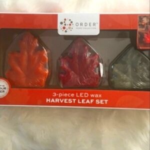 harvest LED light set 🍁
